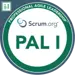 PAL1 Certificate
